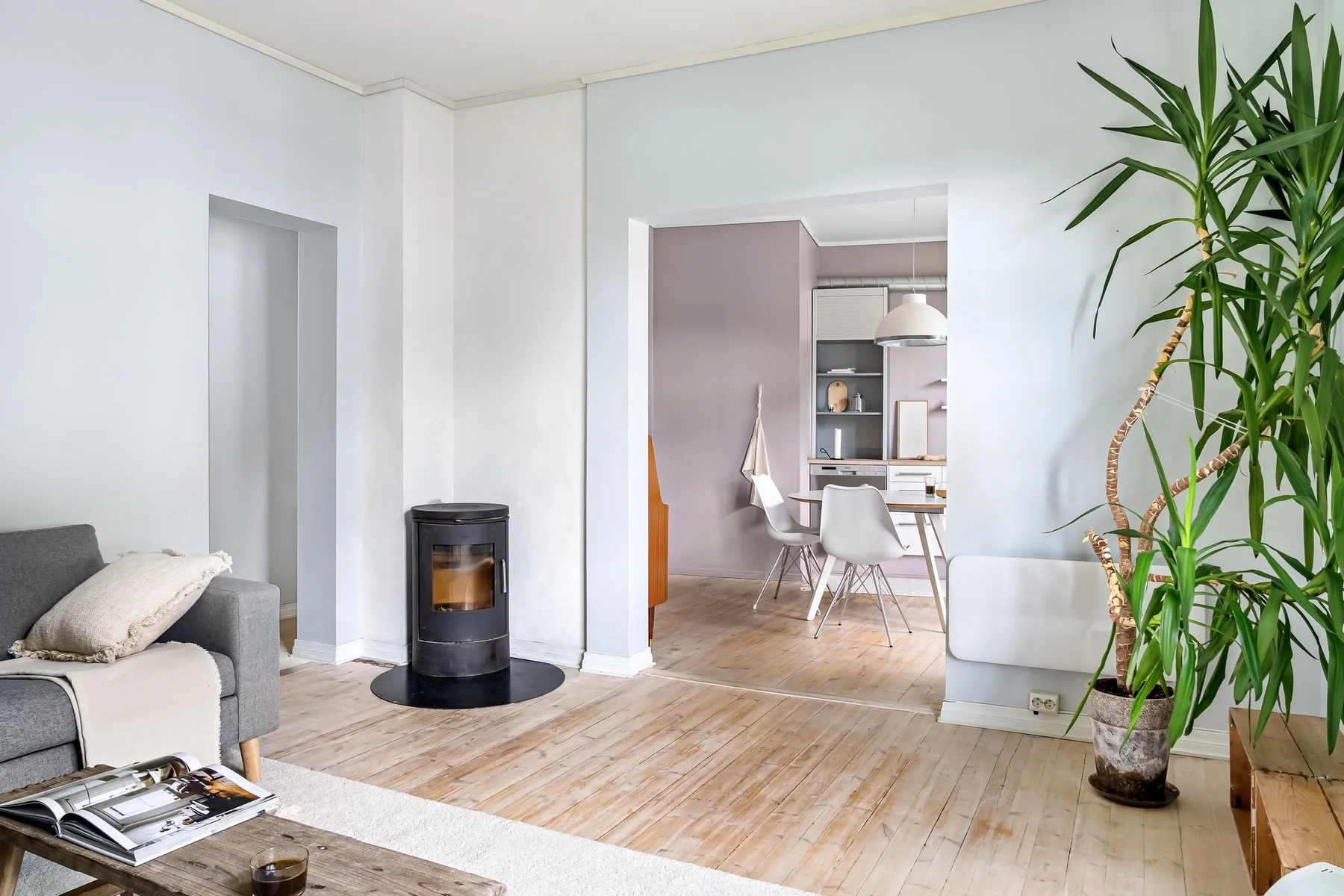 A calm, uncluttered room with warm wood floors, large windows and plants.